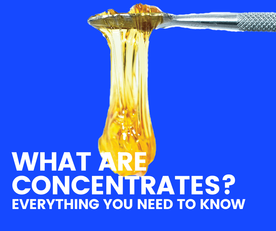 Everything to Know About Cannabis Concentrates
