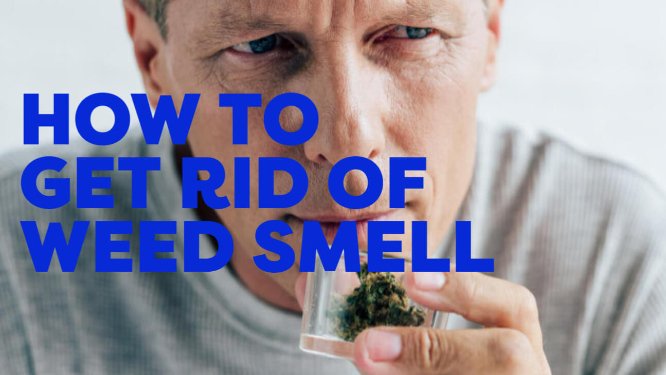 How To Get Rid of Weed Smell