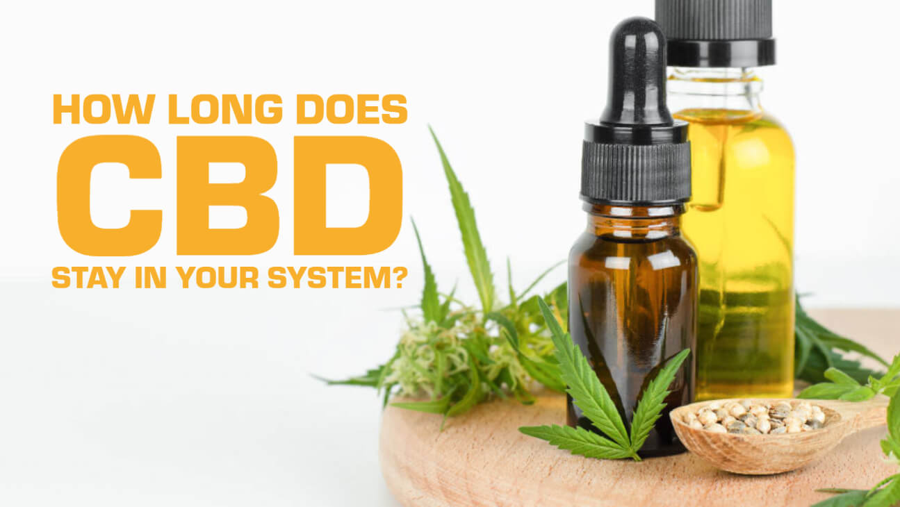 Duration of CBD in System