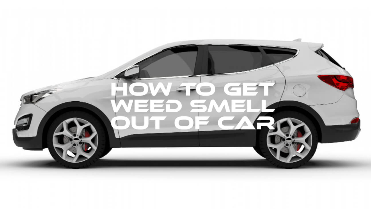 Getting Weed Smell Out Of Car