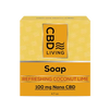 CBD Soap - Coconut Lime (100 mg)
