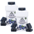 Blueberry Sour Gummies 100mg - Indica
