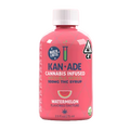 Kan+Ade 100mg Watermelon Medible Mixer