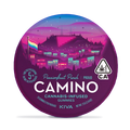 Camino Passionfruit Punch "Pride" Gummies - 100MG