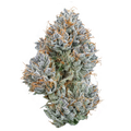 Kush Mountains Premium Cannabis FlowerKush Mountains Premium Cannabis Flower