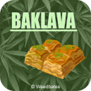 Baklava marijuana strain