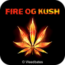 Fire OG Kush strain
