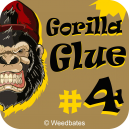 Gorilla Glue 4 cannabis