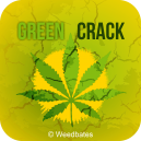 Green Crack strain