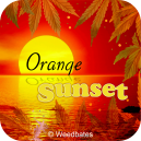 Orange Sunset strain