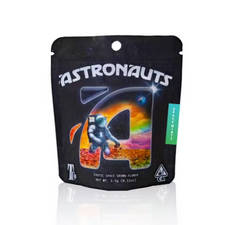 Astronauts - Space Mintz