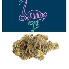Collins Ave - Collins Ave - Sungrown - 1g