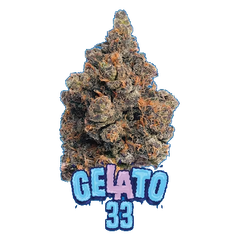 High 90s  Gelato 33 3.5g Flower
