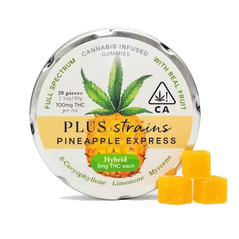 PLUS Strains - Pineapple Express