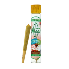 Funboards 1g Triple Infused Preroll - Strawberry Daiquiri