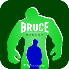 Bruce Banner strain
