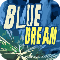 Blue Dream strain
