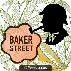 Bakerstreet strain