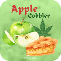 Apple Cobbler cannabis strain