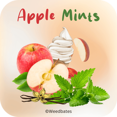 Apple Mints marijuana strain