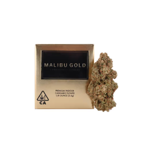 Malibu Gold - Platinum Jack 8th