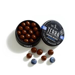 Terra Blueberry Bites - 100mg