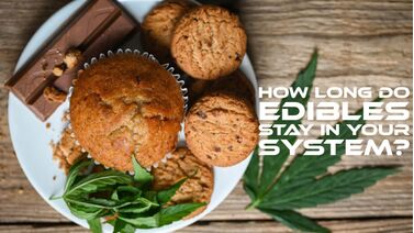 How Long Edibles Stay in the System