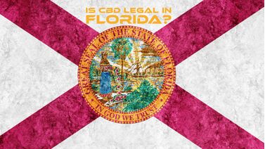 CBD Being Legal in Florida