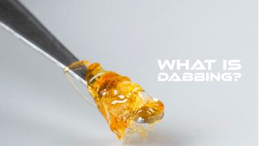 Guide to Dabbing