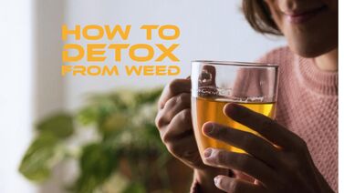 Guide to Weed Detox
