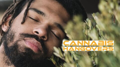 Cannabis Hangovers