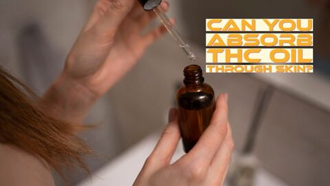 THC Oil Absorption Into Skin