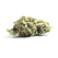 Kush Mints - Hybrid - 28.94% THC