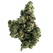 Bluntz Flower - This Weed is Your Weed