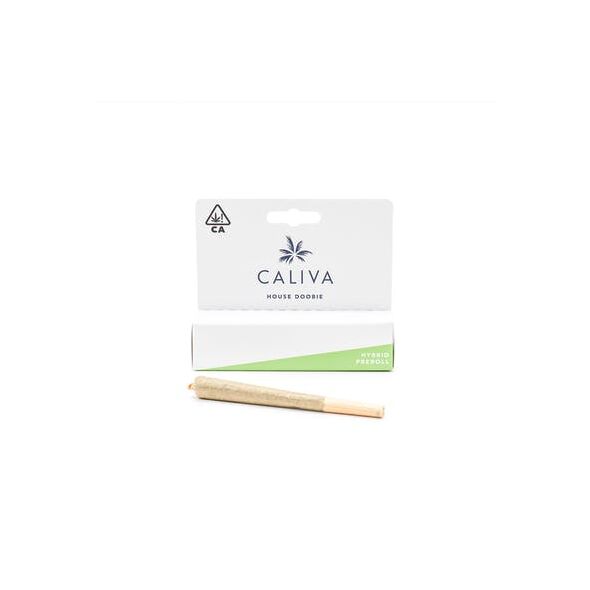 Caliva | House Doobie (Hybrid)