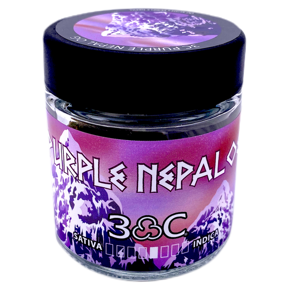 3C | Purple Nepal