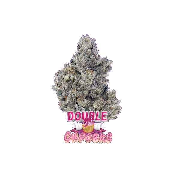 High 90s : Double Cupcake 3.5g Flower