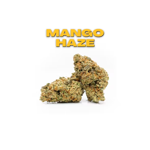 Mango Haze 8th