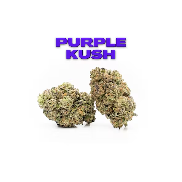 Purple Kush 8th