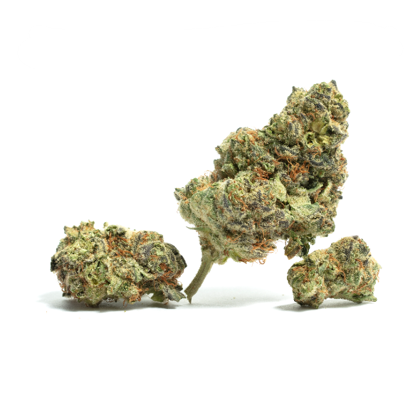 Candy Jam, growing beautifully. New... - Zen Premium Cannabis | Facebook