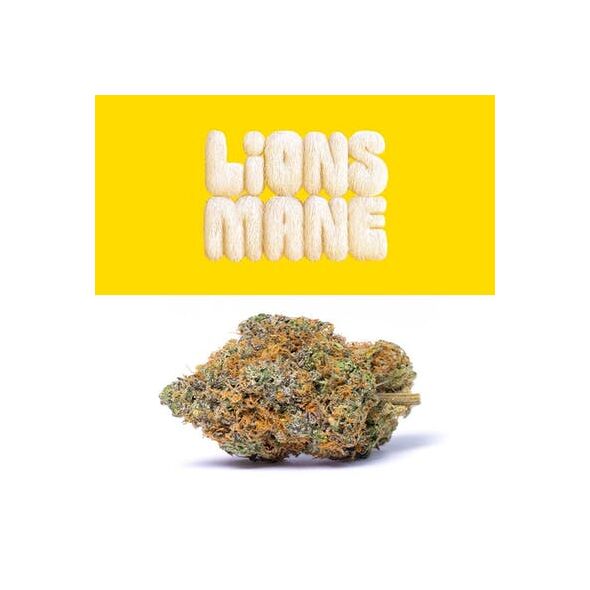 Lions Mane Lemonnade