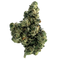 Bluntz Flower - This Weed is Your Weed